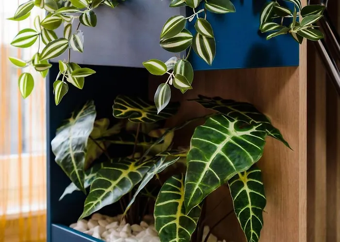 Northbay - Infinity Pool & Năvodari